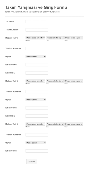 Takım Yarışması Başvuru Form Template