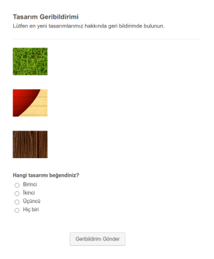 Tasarım Geri Bildirimi Form Şablonu