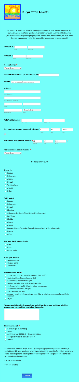 Tatil Anketi Form Template