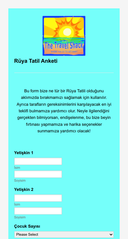 Tatil Anketi Örneği