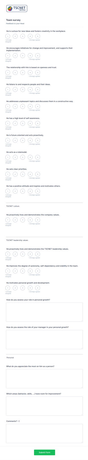 Team Management Performance Survey Form Template