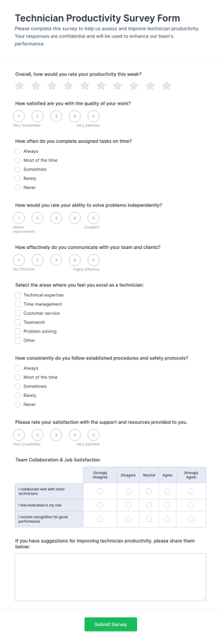 Technician Productivity Survey Form Template