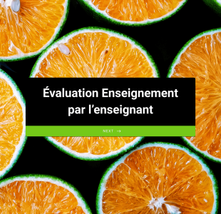 TechnoCampus / Enseignement / Evaluation Enseignement Par L’enseignant Form Template