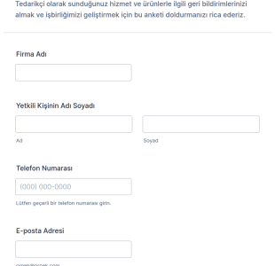 Tedarikçi Anketi Form Şablonu
