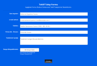 Teklif Talep Formu Örneği Form Şablonu