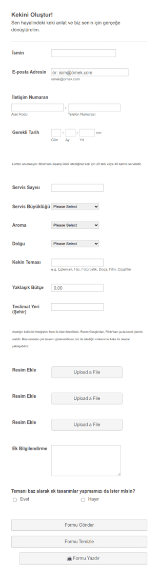 Temalı Pasta Sipariş Form Şablonu