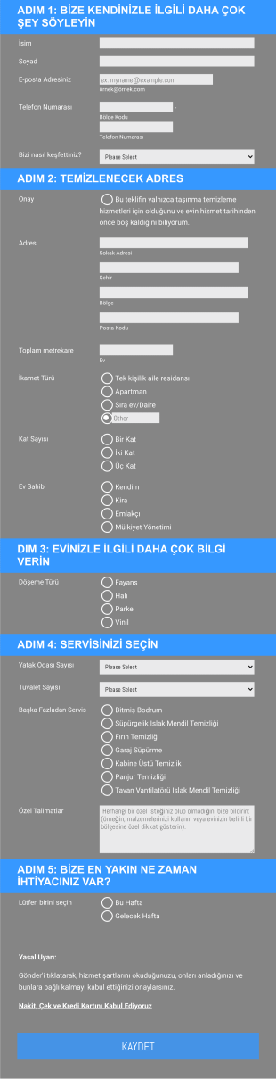 Temizlik Servis Talebi Form Şablonu
