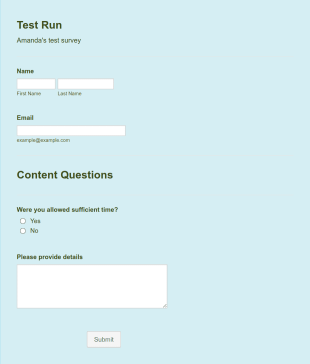 Test Run Form Template