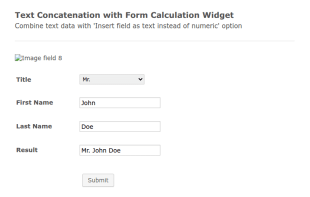 Text Concatenation With Form Calculation Widget