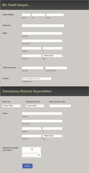 Ticari Temizlik Teklifi Başvuru Form Template