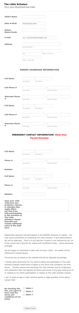 The Little Scholars Application Form Template