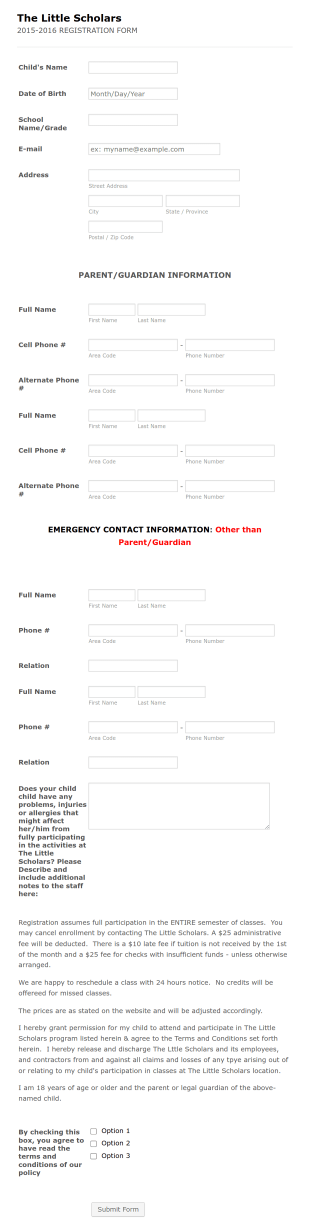 The Little Scholars Application Form Template