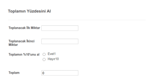 Toplamın Yüzdesini Al Form Şablonu