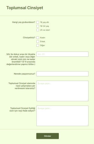 Toplumsal Cinsiyet Form Şablonu