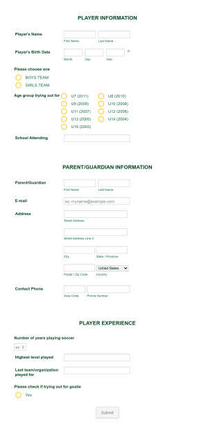 Tryout Registration Sp Form Template