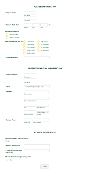 Tryout Registration Sp Form Template