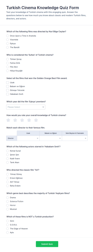 Turkish Cinema Knowledge Quiz Form Template