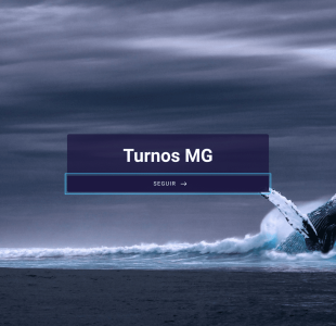 Turnos Mg Form Template