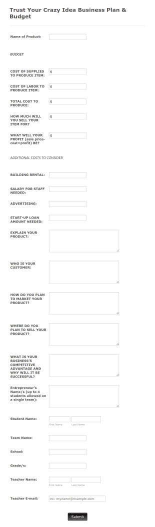 Tycic Business Plan And Budget Form Template