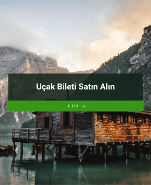 Uçak Bileti Örneği Form Şablonu