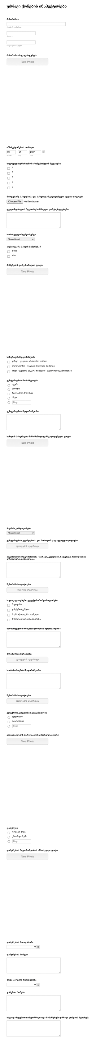 უძრავი ქონების ინსპექტირების ფორმა Form Template