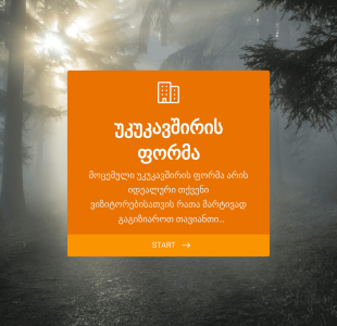 უკუკავშირის ფორმა Form Template