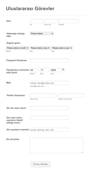 Uluslararası Görev Form Template