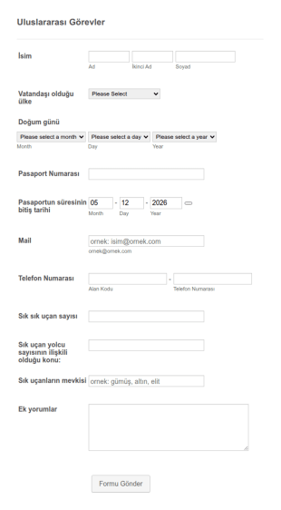 Uluslararası Görev Form Şablonu