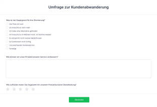 Umfrage Zur Kundenabwanderung Form Template