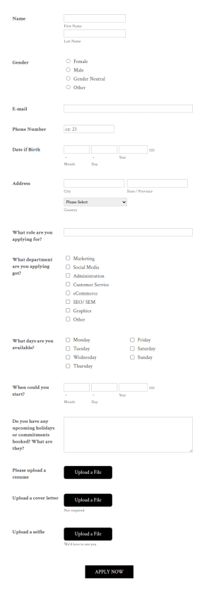 Unadvertised Job Application Form Template