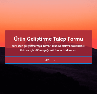 Ürün Geliştirme Talep Form Şablonu