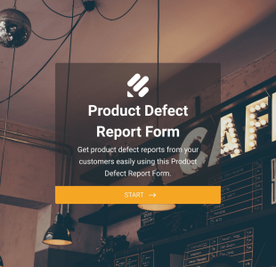 Ürün Kusur Raporu Form Template