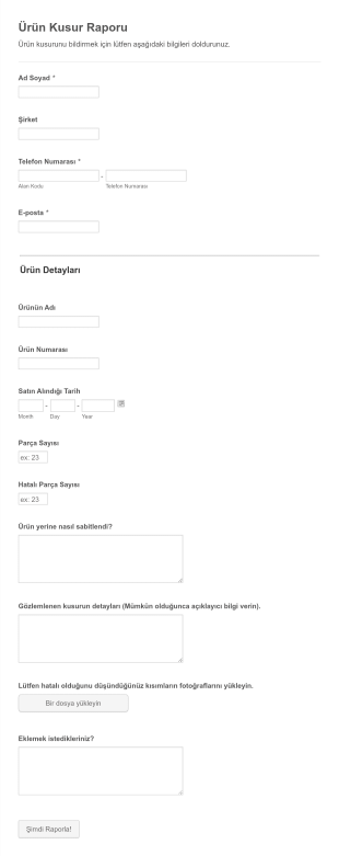 Ürün Kusur Raporu Form Template
