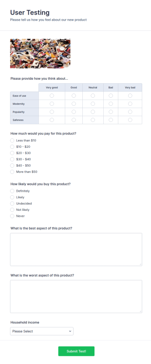 User Testing Survey Form Template