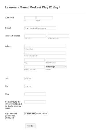 Uygulamalı Sanatlar Kayıt Form Template