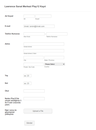Uygulamalı Sanatlar Kayıt Form Şablonu