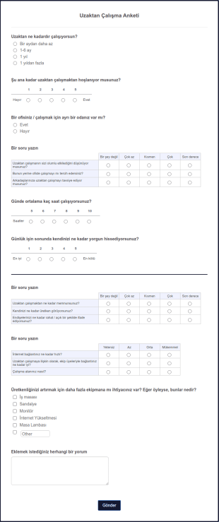 Uzaktan Çalışma Anketi Form Şablonu