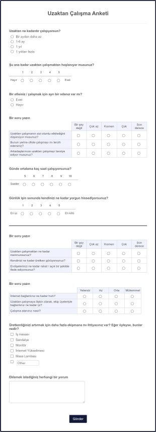 Uzaktan Çalışma Anketi Form Template