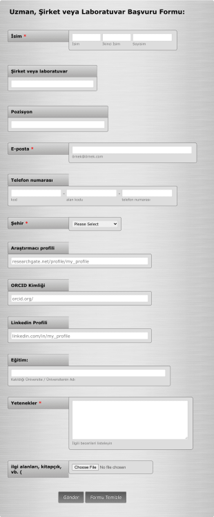 Uzman Başvurusu Form Şablonu