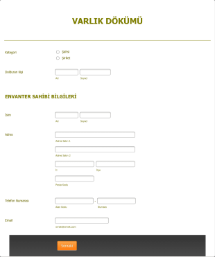 Varlık Döküm Form Template