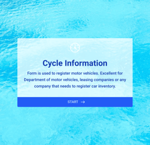 Vehicle Registration Form Template
