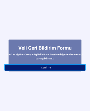 Veli Geri Bildirim Form Şablonu