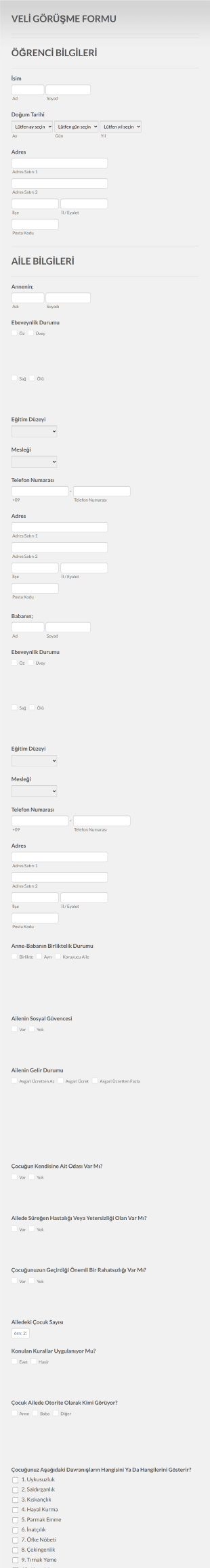 Veli Görüşme Form Şablonu