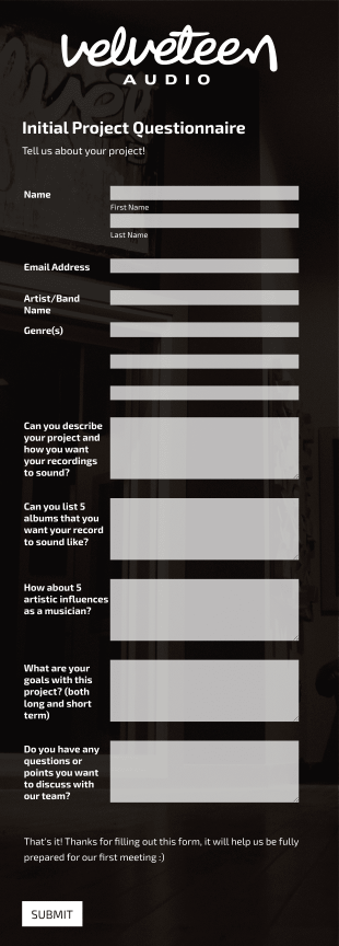 Audio Initial Project Questionnaire Form Template