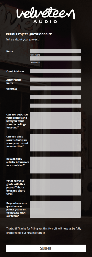 Audio Initial Project Questionnaire Form Template