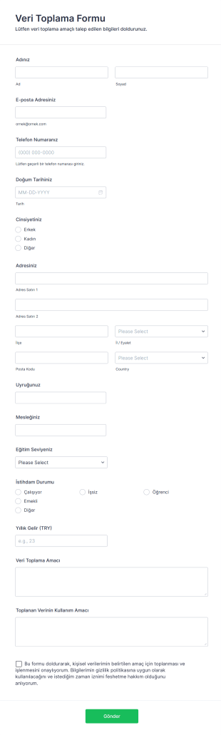 Veri Toplama Form Template