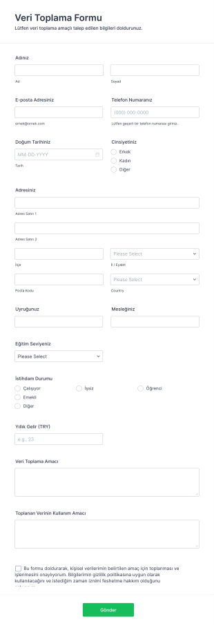 Veri Toplama Form Template