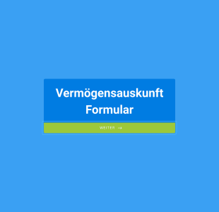 Vermögensauskunft Formular Form Template
