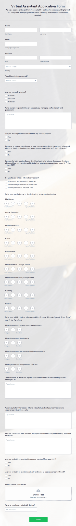 Virtual Assistant Application Form Template