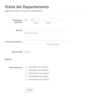 Visitas Departamentos Form Template